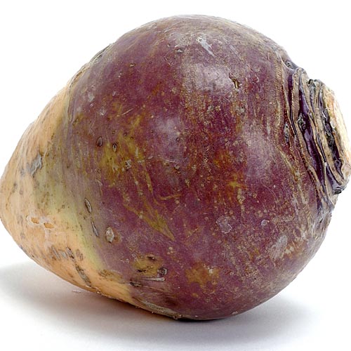 How To Freeze Mashed Rutabaga